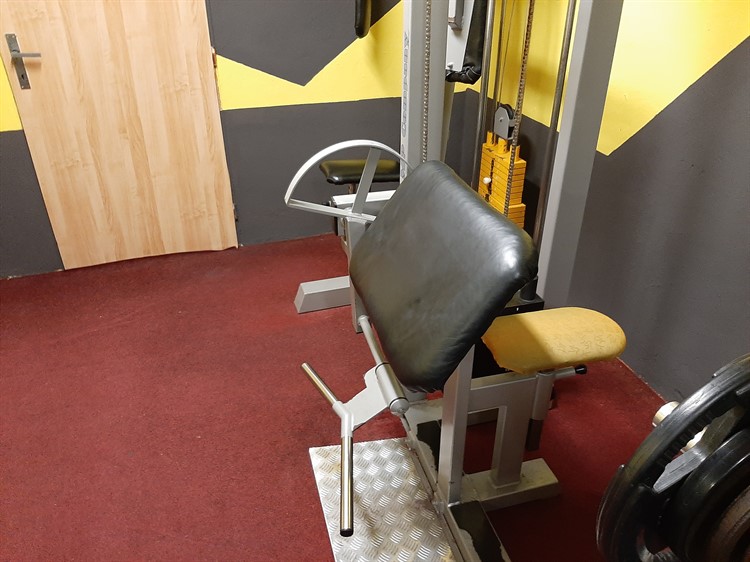 Biceps skotova lavice stroj